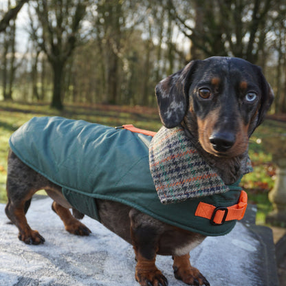 Waxed Wiener Dachshund Coat - Wieners Wardrobe