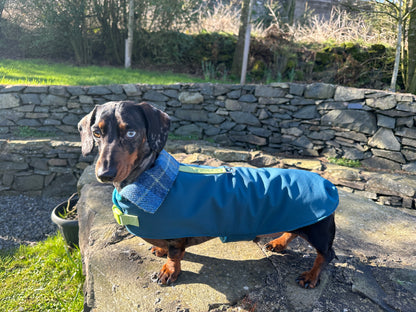 Technical Teckel Dachshund Coat - Wieners Wardrobe