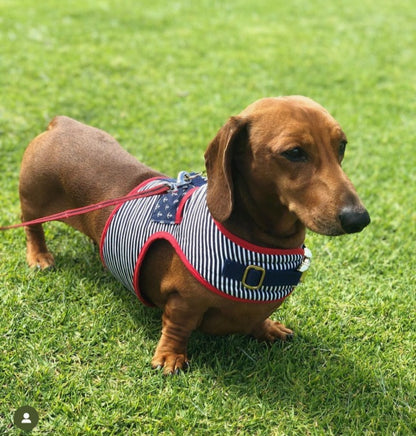 Sailor Sausage Dachshund Harness Range - Wieners Wardrobe