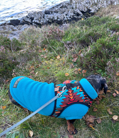 Wyoming Wiener Dachshund Harness - Wieners Wardrobe