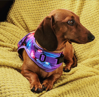 Space Sausage Dachshund Harness Range - Wieners Wardrobe