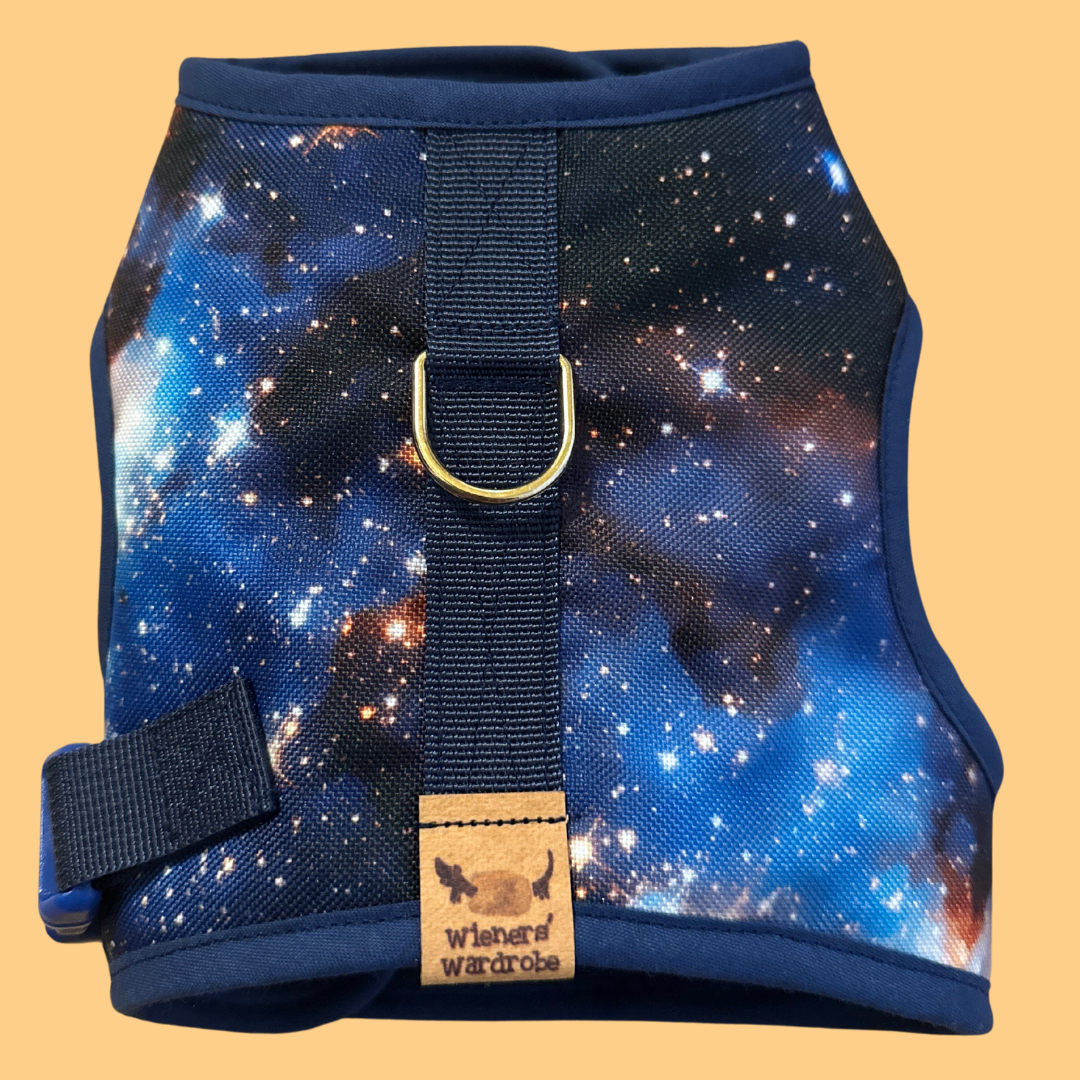 Space Sausage Dachshund Harness Range - Wieners Wardrobe