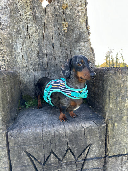 Stripey Sausage Dachshund Harness - Wieners Wardrobe