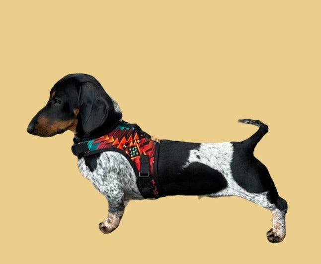 Wyoming Wiener Dachshund Harness - Wieners Wardrobe