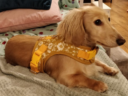 Botanical Bratwurst Dachshund Harness - Wieners Wardrobe