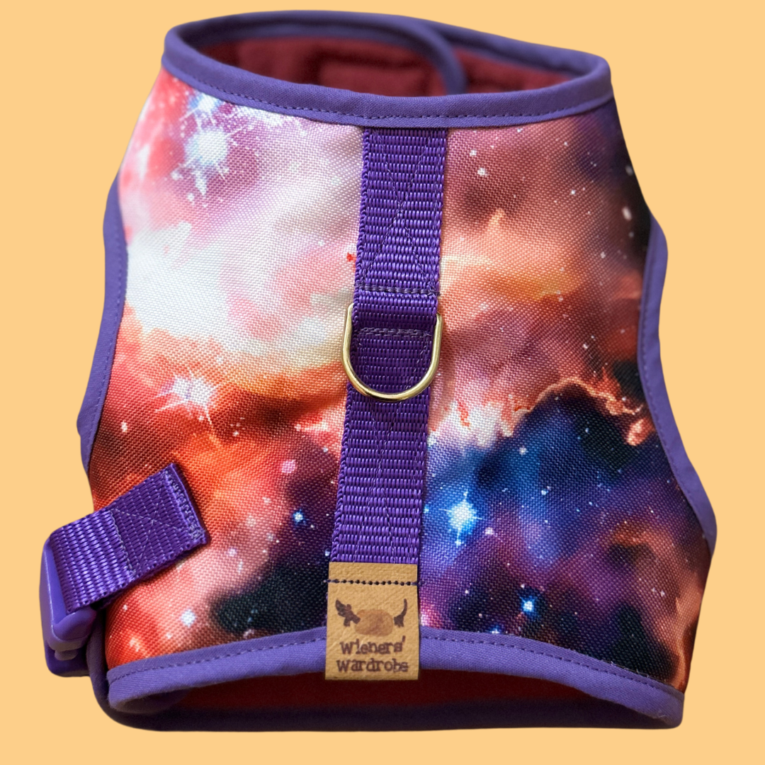 Space Sausage Dachshund Harness Range - Wieners Wardrobe