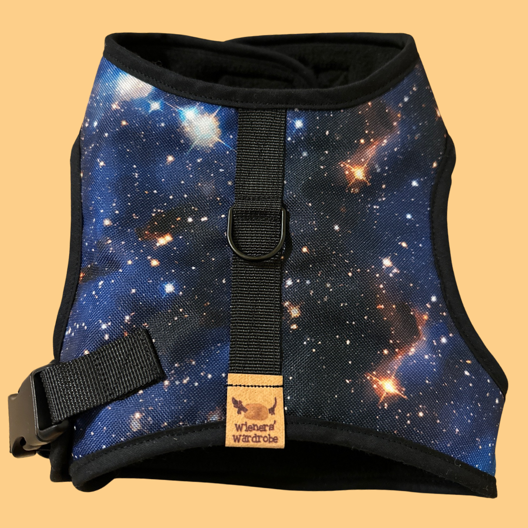 Space Sausage Dachshund Harness Range - Wieners Wardrobe