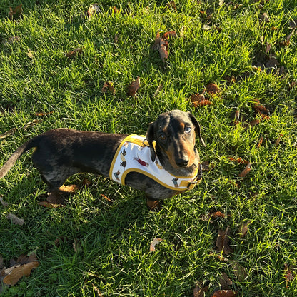 Dinky Dachshund Harness - Wieners Wardrobe