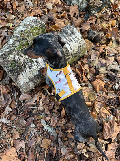 Dinky Dachshund Harness - Wieners Wardrobe