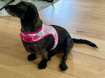 Botanical Bratwurst Dachshund Harness - Wieners Wardrobe