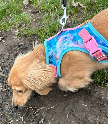 Space Sausage Dachshund Harness Range - Wieners Wardrobe