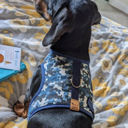 Blue Camo print dachshund harness