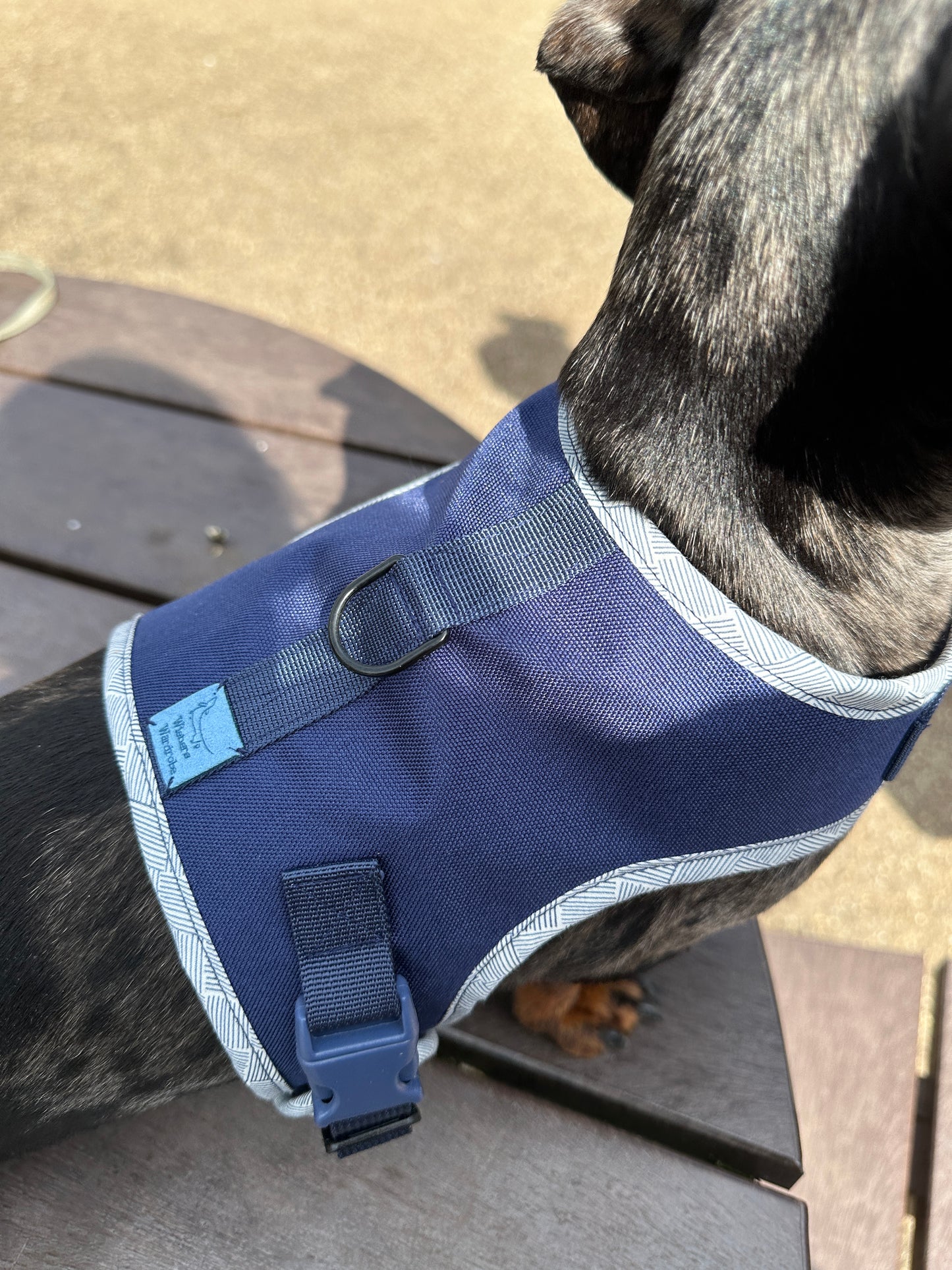 Navy Dachshund Harness - Wieners Wardrobe