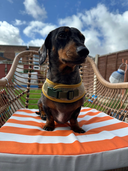 Woolly Wiener Dachshund Harness - Wieners Wardrobe