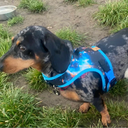 Space Sausage Dachshund Harness Range - Wieners Wardrobe