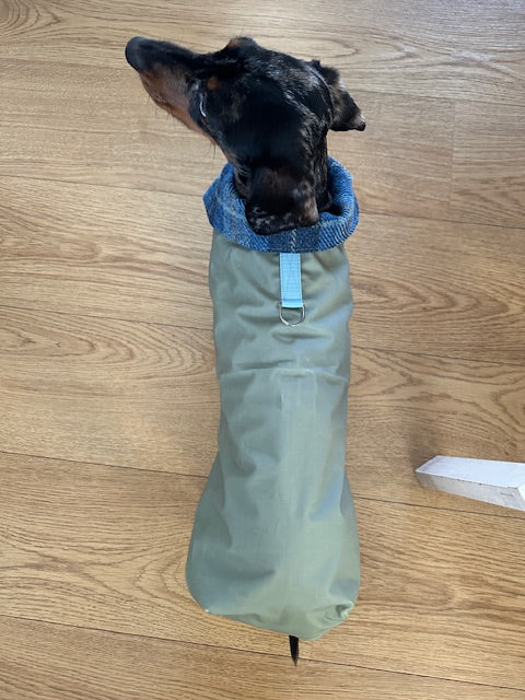 Waxed Wiener Dachshund Coat - Wieners Wardrobe